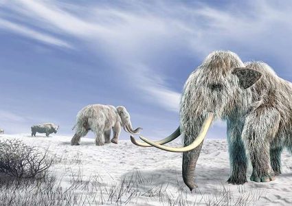 العثور على 800 عظمة تعود لحيوان عاش قبل 140 قرنا !