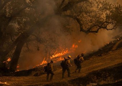 إخماد الحريق الأخطر في غابات كاليفورنيا منذ بداية العام