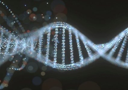 استخدام التحرير الجيني المثيرة للجدل لمكافحة السرطان