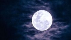 شاهد ناسا تنشر صور لعينات نادرة من القمر