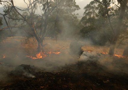 أستراليا: قتيلان وتدمير 100 منزل جراء حرائق
