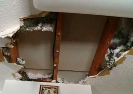 شاهد لصة تسقط من سقف مطعم في ولاية كاليفورنيا