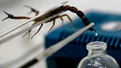 فايزة وعرين شقيقتان مولعتان بتربية العقارب والزواحف