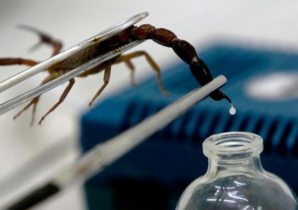 فايزة وعرين شقيقتان مولعتان بتربية العقارب والزواحف