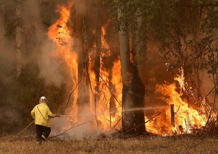ارتفاع حصيلة قتلى حرائق الغابات في أستراليا