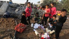 استشهاد 6 طلاب وتضرر 15 مدرسة نتيجة عدوان الاحتلال على غزة