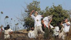 مستوطنون يعتدون على قاطفي الزيتون جنوب نابلس