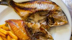 سمك دنيس مقلي