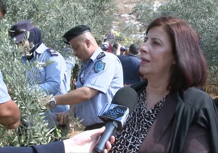 محافظة نابلس ووزارة الزراعة تنظمان فعالية قطف الزيتون