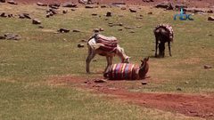 معابر حدودية بأسماء وطقوس غريبة