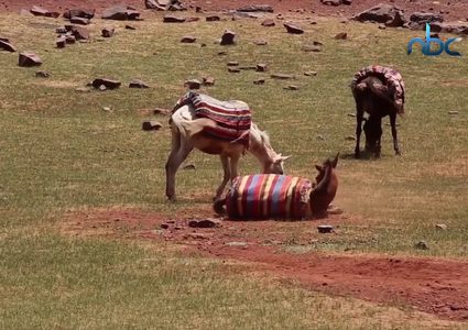معابر حدودية بأسماء وطقوس غريبة