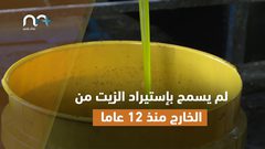 موسم زيتون ماسي في فلسطين