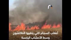 نيران الصيف تعدم القمح في أرضه .. والفاعل مجهول !!