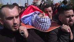 الشهيد محمد شاهين .. تبكيه أمه بكاء الصابرين