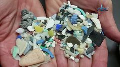 خطورة اعادة استخدام زجاجة المياه البلاستيكية