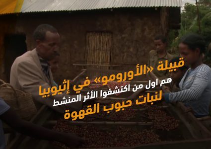 اليوم العالمي للقهوة .. أين وكيف اكتشفت؟