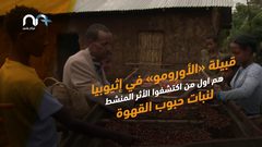 اليوم العالمي للقهوة .. أين وكيف اكتشفت؟