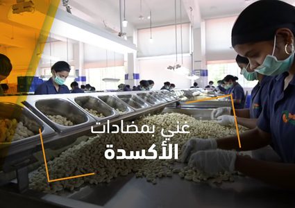 فوائد مذهلة للكاجو .. تعرّف عليها