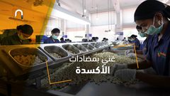 فوائد مذهلة للكاجو .. تعرّف عليها