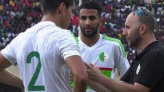 فرحة عارمة اجتاحت فلسطين بعد وصول الجزائر لنهائي كأس أمم افريقيا