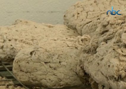 دراسات تحذر من إلقاء أعقاب السجائر بالشوارع