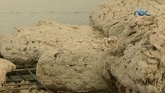 دراسات تحذر من إلقاء أعقاب السجائر بالشوارع