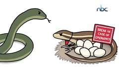 أغرب الأمهات وأقساهن في عالم الحيوانات