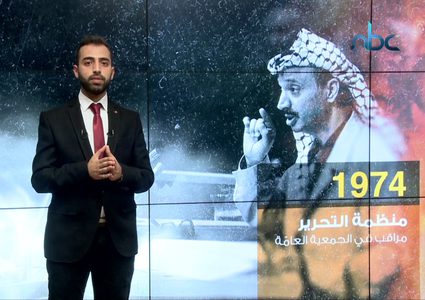 أهم قرارات الأمم المتحدة المتعلقة بفلسطين