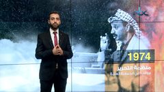 أهم قرارات الأمم المتحدة المتعلقة بفلسطين