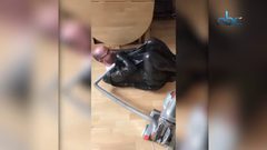 تحدي القمامة يجتاح مواقع التواصل وخبراء يحذرون