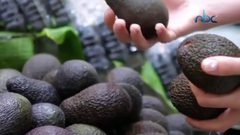 بدائل عن القهوة لتنشيط الجسم بشكل سريع