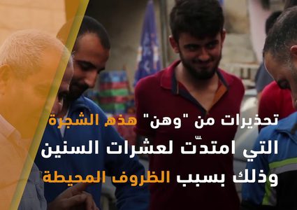 التين .. فاكهة ملوكية وضيفة صيفية