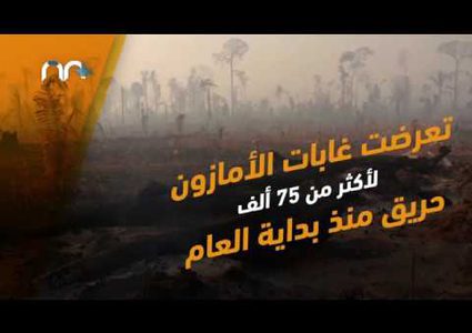رئة العالم تحترق .. 2500 حريق جديد بالأمازون