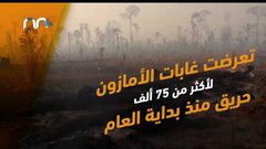 رئة العالم تحترق .. 2500 حريق جديد بالأمازون