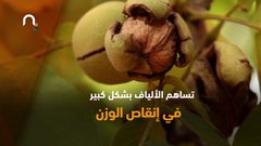 الجوز يساعد على خسارة الوزن