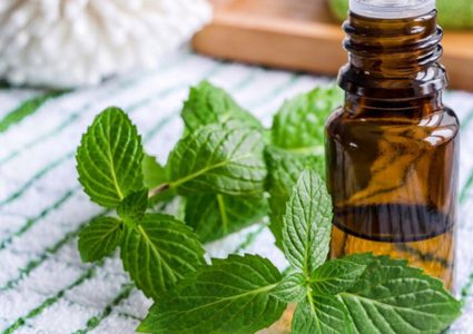 فوائد زيت النعناع للبشرة والجسم