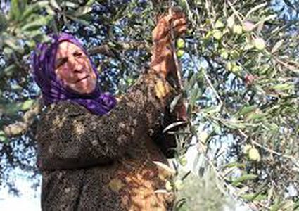 حلقة جديدة من برنامج سيدي وستي والحاجة بهية ام البنات