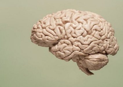 كيف يمكن البقاء على قيد الحياة بنصف مخ!