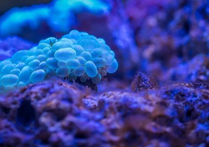 هذا  سر عدوانية الأورام السرطانية!