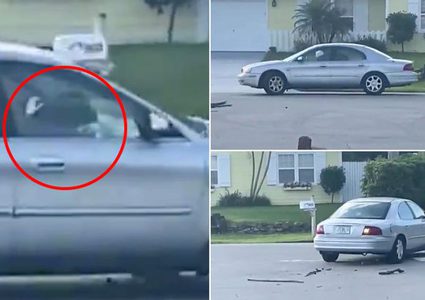 شاهد كلب يقود سيارة "إلى الخلف" لمدة ساعة كاملة !