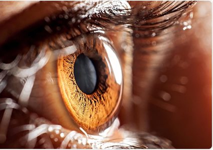 طرق حماية العين من مضاعفات تلوث الهواء