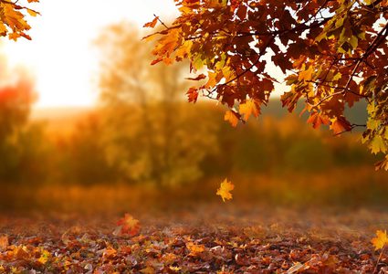 الطقس: أجواء جافة والحرارة تواصل الارتفاع