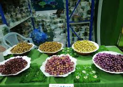 انطلاق فعاليات مهرجان الزيتون الأول في مدينة طولكرم