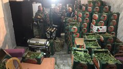 ضبط 3 أطنان من المارجوانا بقيمة 15 مليون شيكل