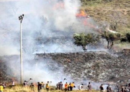 مستوطنون يضرمون النار بأشجار زيتون في سبسطية