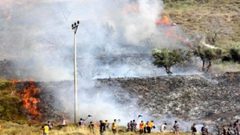 مستوطنون يضرمون النار بأشجار زيتون في سبسطية