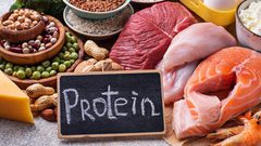 ما هو تأثير تناول البروتين على ممارسة الرياضة ؟