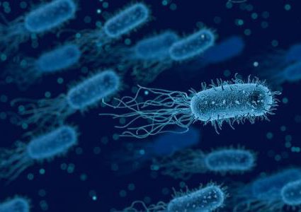 تحذير.. بيئة منزلنا تشجع تكاثر وانتشار بكتيريا خطرة جدا