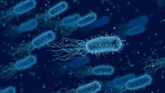 تحذير.. بيئة منزلنا تشجع تكاثر وانتشار بكتيريا خطرة جدا