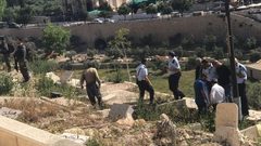 مستوطنون يدنسون مقبرة باب الرحمة